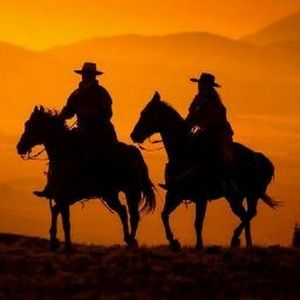 Meet your Posher, Steve